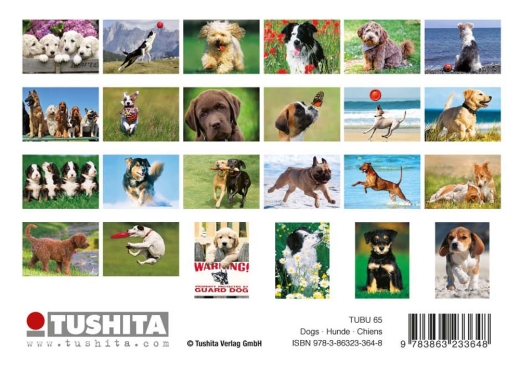 Postkartenbuch – Hunde