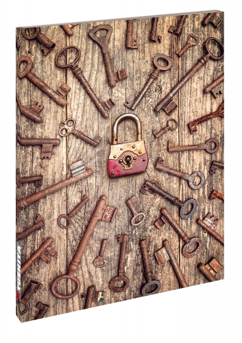 Many Keys - One Lock