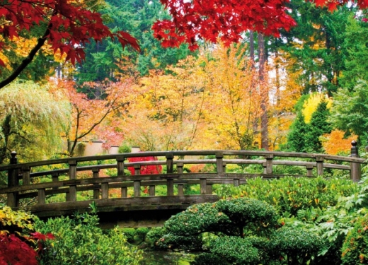 Japanese Garden