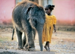 Postkarte - Indian child with elephant