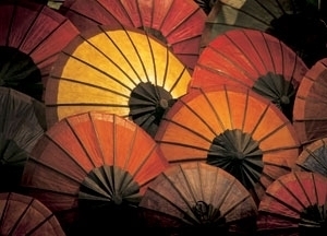 Magic Umbrellas