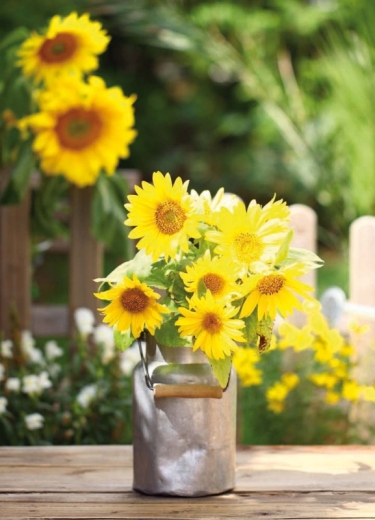 Yellow flowers in a rural garden