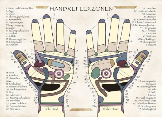 Handreflexzonen