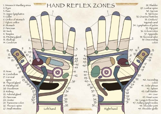 Hand Reflex Zones