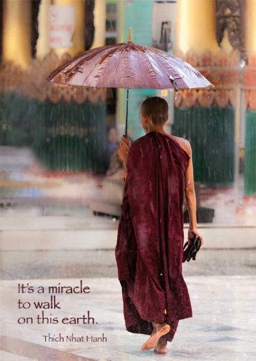 Postkarte – Burmese Monk, Walking in the Rain