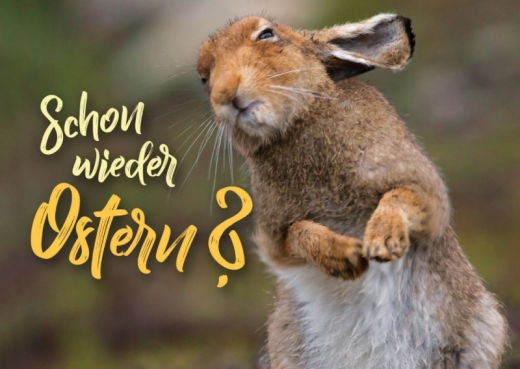 Postkarte – Schon wieder Ostern?