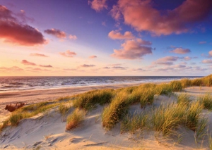 Seaside at sunset