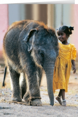 Indian Child with elephant