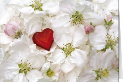 Heart and Flowers