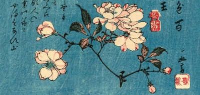 Ando Hiroshige - Cherry Blossoms