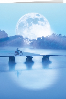 Moonlight Journey