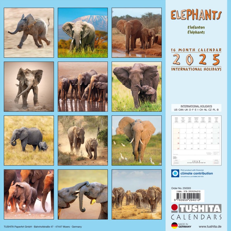 Elephant Families