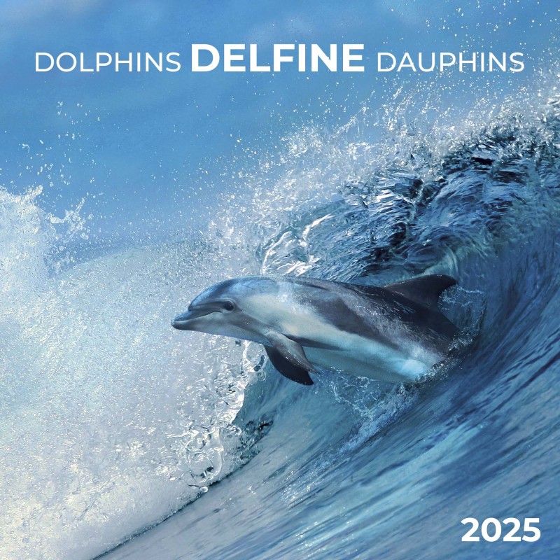 Dolphins/Delfine