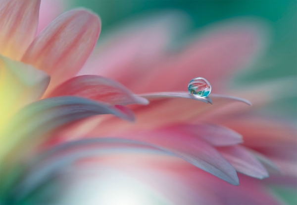 Klappkarte - Floral Flow