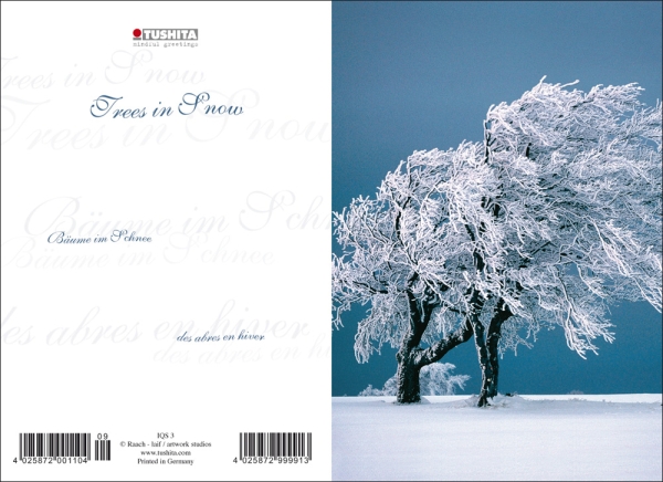 Klappkarte mit Veredelung – trees in snow