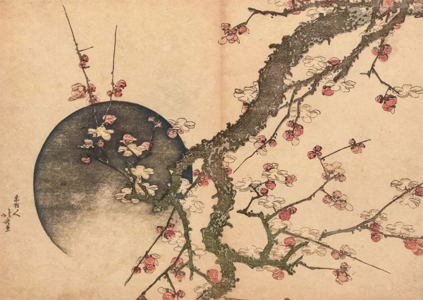 Postkarte Katsushika Hokusai (1760-1849) - plum blossom and the moon