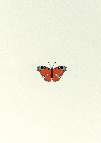 Postkarte – Schmetterling