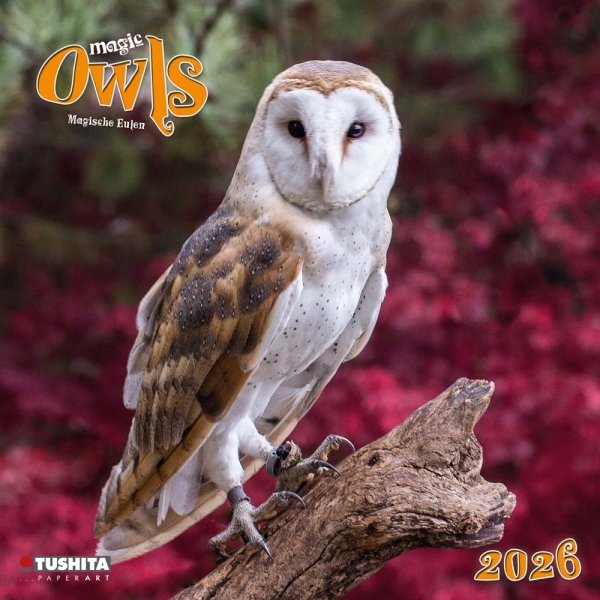 Kalender 2026Magic Owls(Vorverkauf)