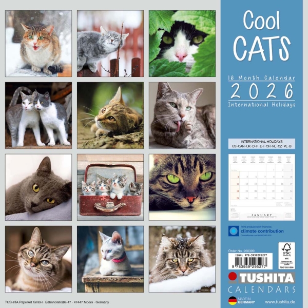 Kalender 2026Cool Cats(Vorverkauf)