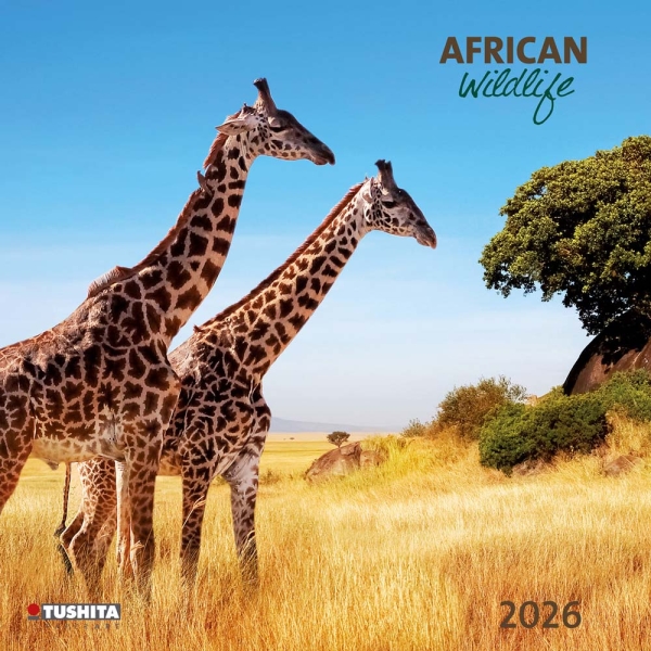 Kalender 2026African Wildlife(Vorverkauf)