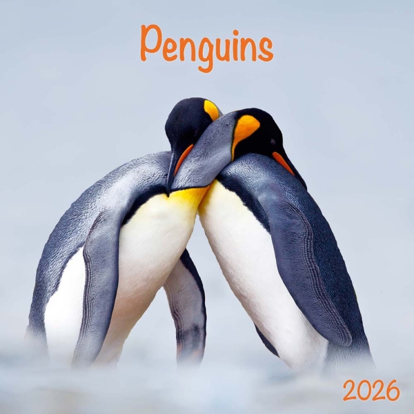 Kalender 2026Pinguine(Vorverkauf)