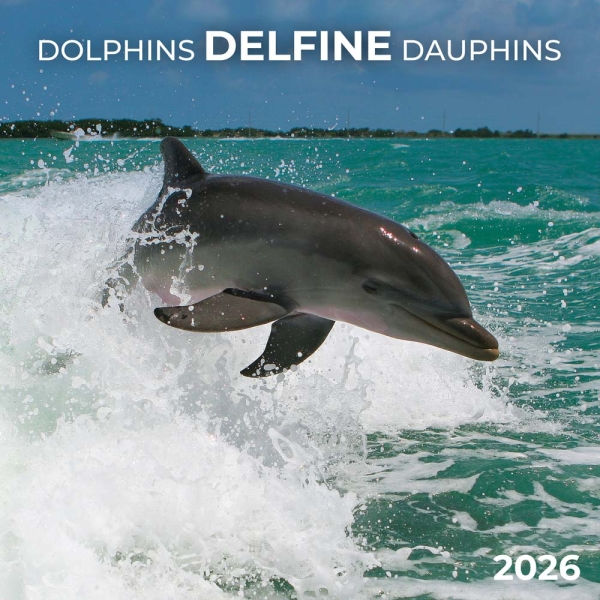 Kalender 2026Delfine