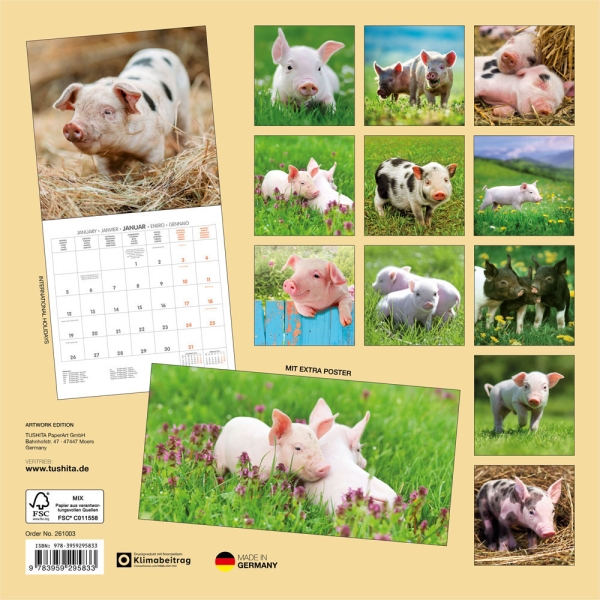 Kalender 2026Schweinchen