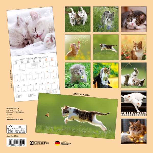 Kalender 2026Katzen