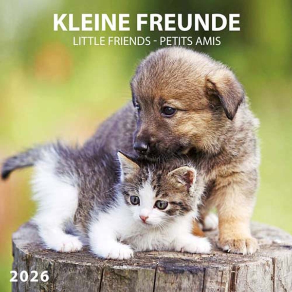 Kalender 2026Kleine Freunde