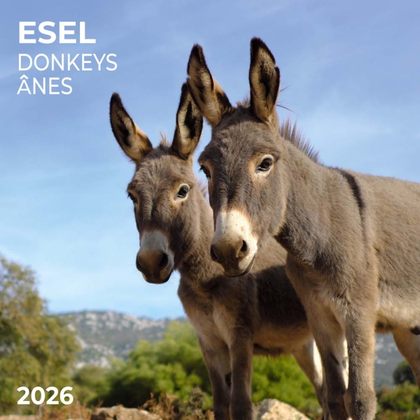 Kalender 2026Esel