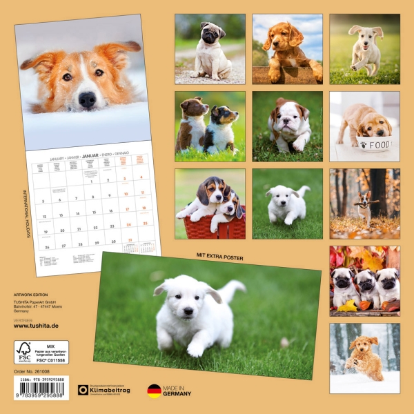 Kalender 2026Hundewelpen