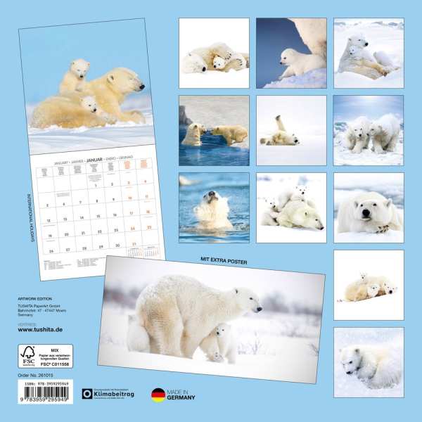 Kalender 2026Eisbären