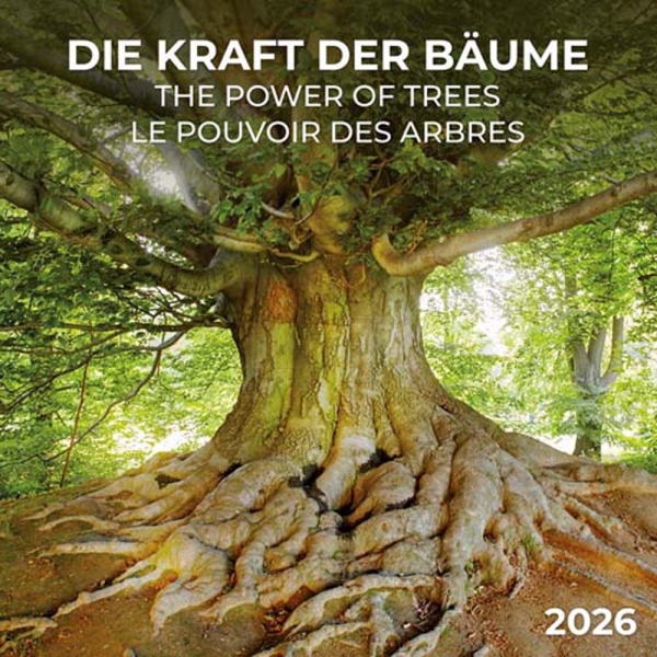 Kalender 2026Die Kraft der Bäume