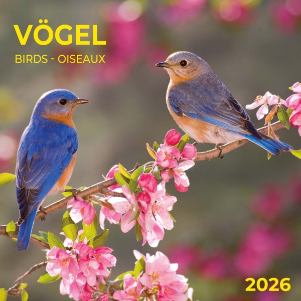 Kalender 2026Vögel