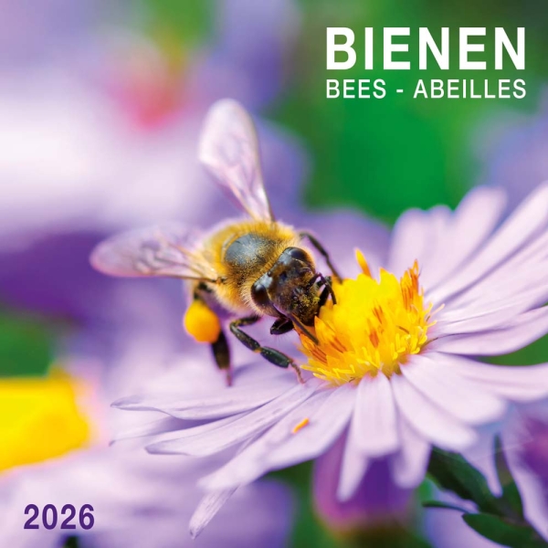 Kalender 2026Bienen