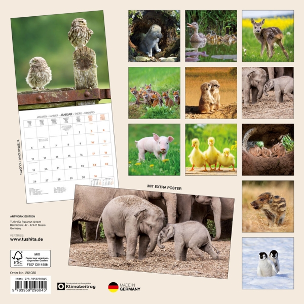 Kalender 2026Tierbabys