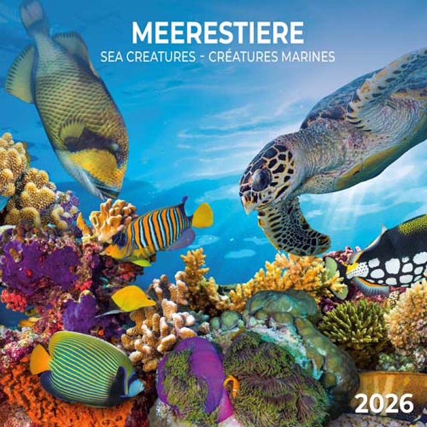 Kalender 2026Meerestiere