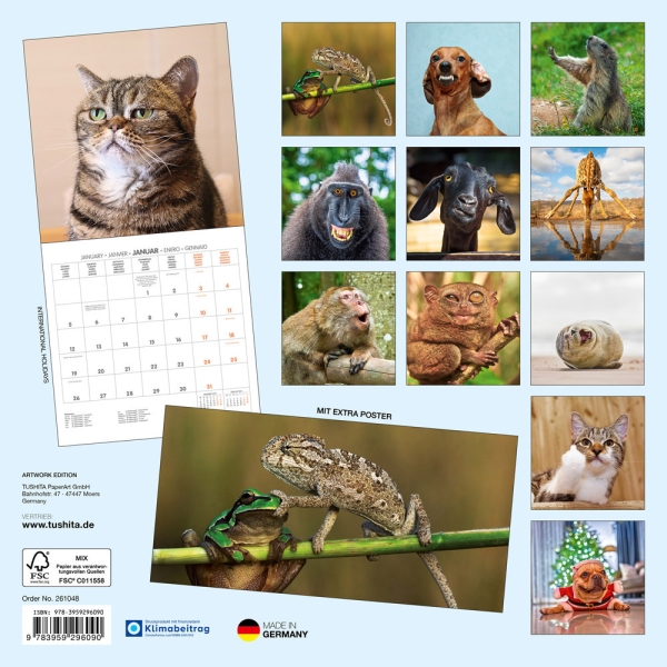 Kalender 2026Lustige Tiere