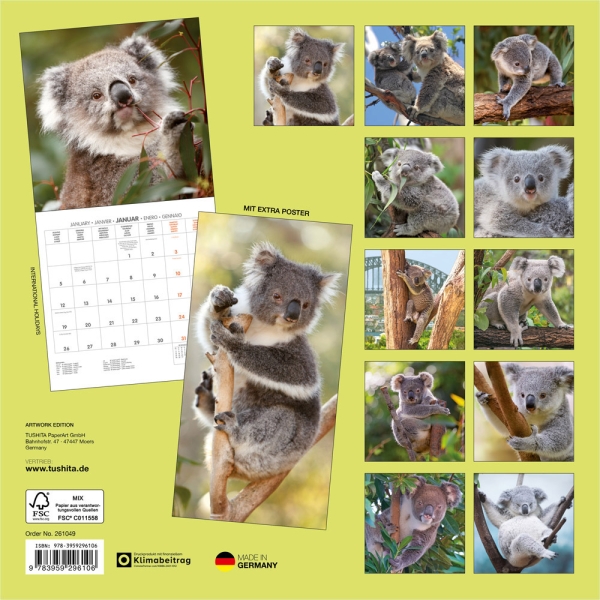 Kalender 2026Koalas