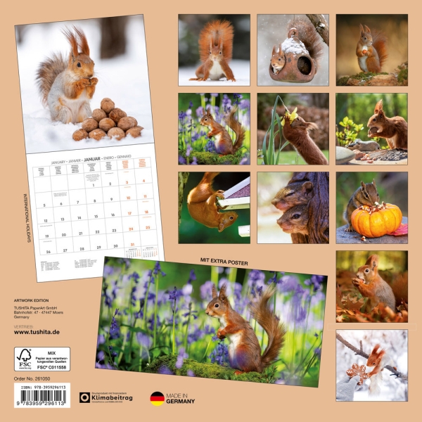 Kalender 2026Eichhörnchen