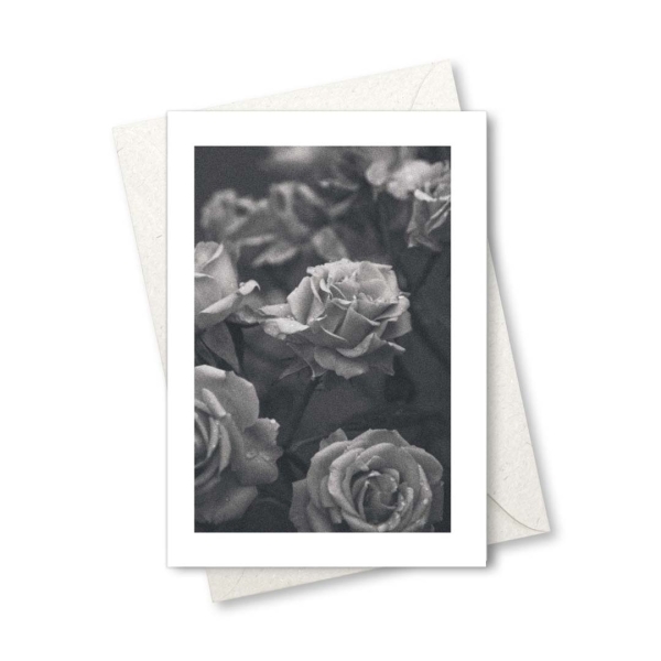 Klappkarte – Rosen