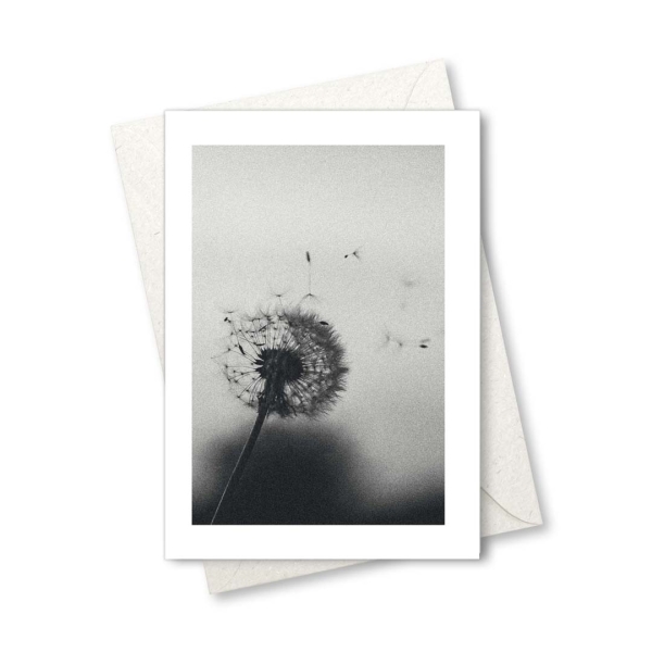 Klappkarte – Pusteblume