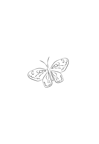 Klappkarte – Schmetterling