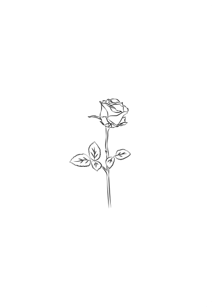 Klappkarte – Rose