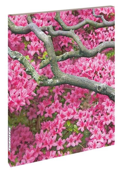 Blankbook – Zen Flowers