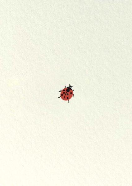 Postkarte – Marienkäfer