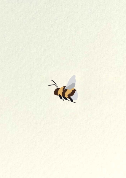 Postkarte – Hummel