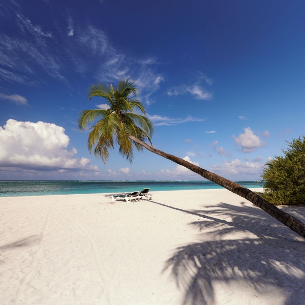 Kalender 2027Trauminseln