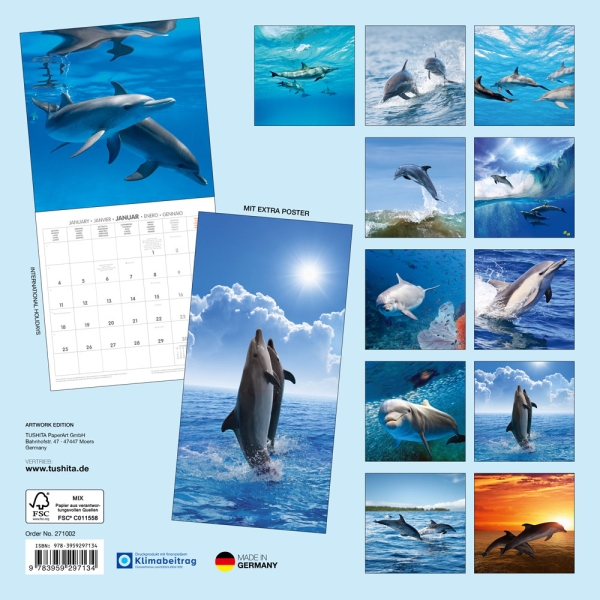 Kalender 2027Delfine