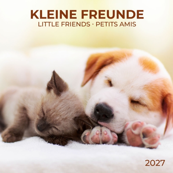 Kalender 2027Kleine Freunde
